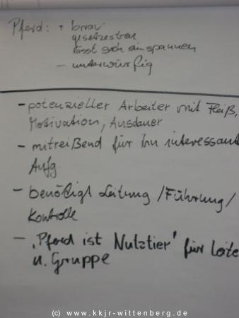 bild1