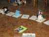 bild4