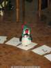bild6
