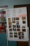bild4