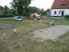 bild5