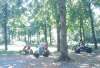 bild2