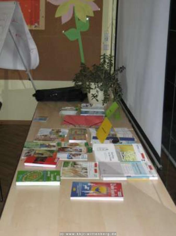 bild8
