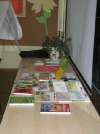 bild8