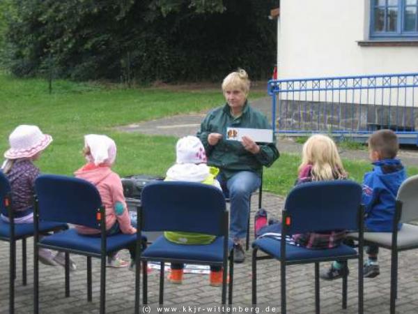 bild6
