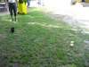 bild5