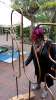 bild2