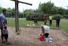 bild6
