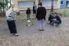 bild2