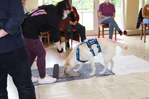 bild4