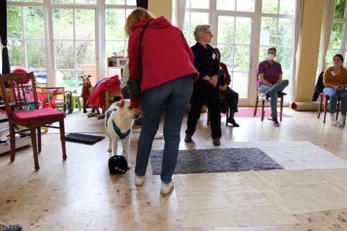 bild5