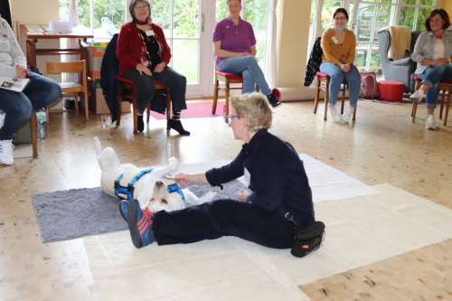 bild6