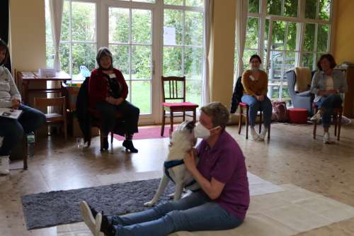 bild7
