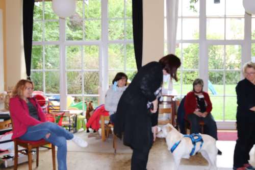 bild8