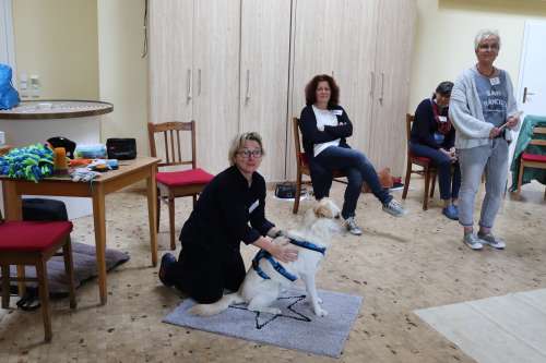 bild3
