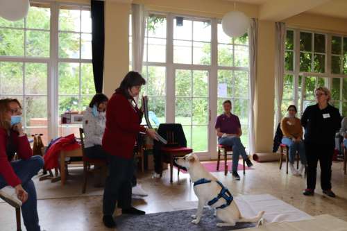 bild4