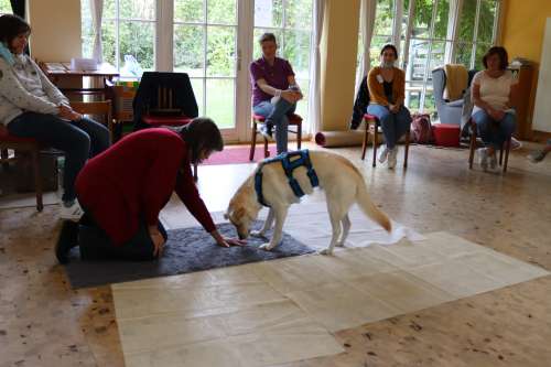 bild5